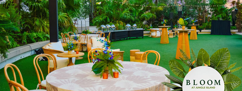 Bloom Events