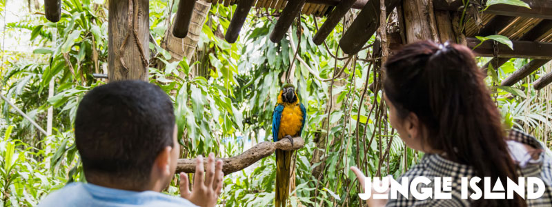 Jungle Island