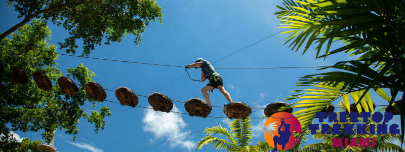 Treetop Trekking